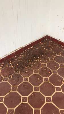 Foto 007 — Pisos e interiores
