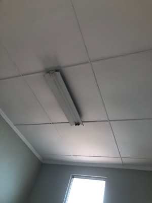 Foto 129 — Cielos falsos y humedad