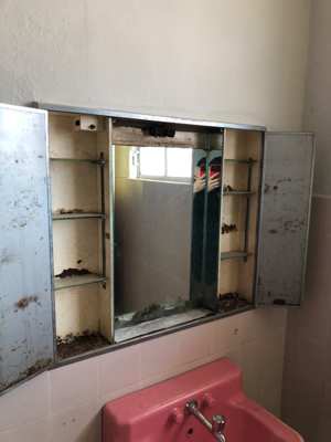 Foto 171 — Baños