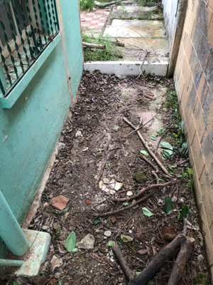 Foto 252 — Fachadas y patios