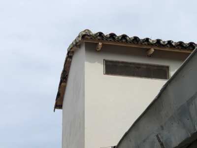 Foto 261 — Techos y azotea