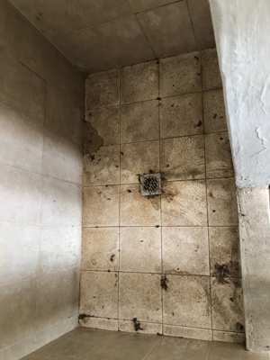 Foto 283 — Baños