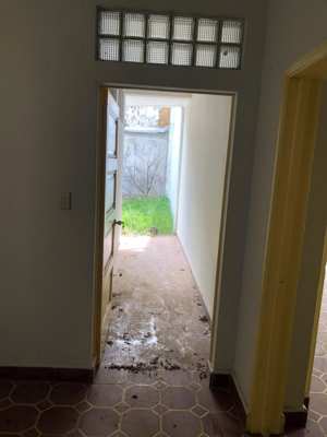 Foto 322 — Pisos e interiores