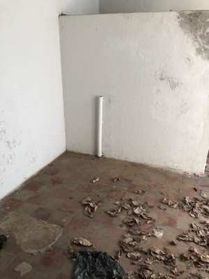 Foto 347 — Pisos e interiores